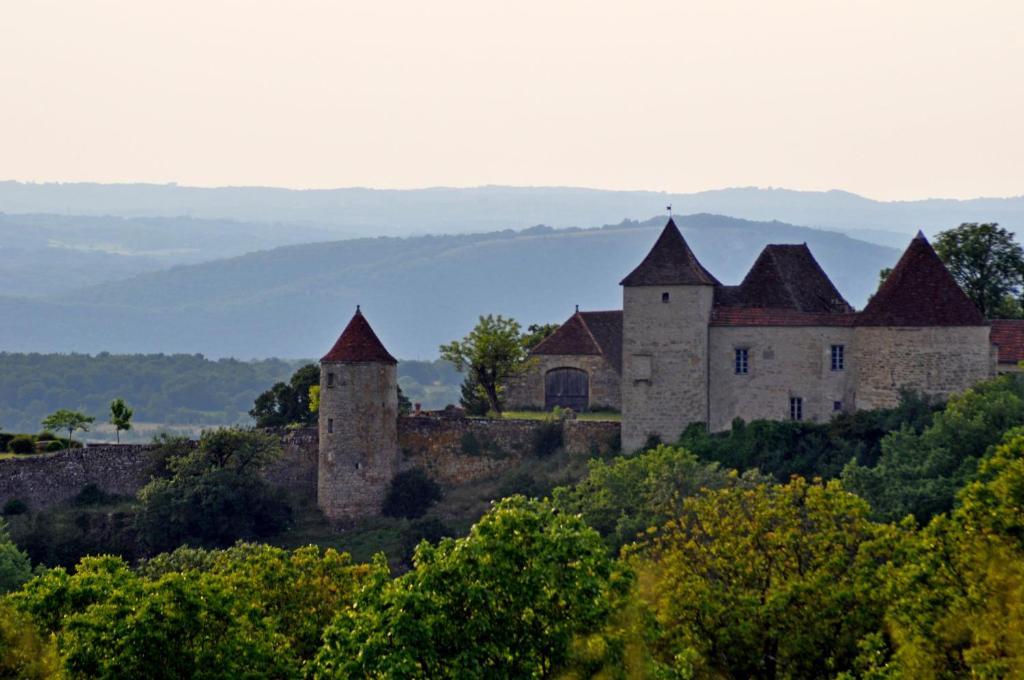 Gite 8 Pers Du Chateau De Cantecor Альвіньяк Екстер'єр фото